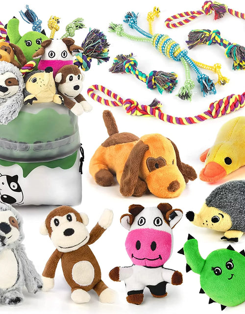 Load image into Gallery viewer, Dog Squeaky Toys for Small Dogs, 12 Pack Puppy Toys for Teething Cute Small Dog Toys Stuffed Plush Dog Toy Bundle Natural Cotton Puppy Rope Toy Dog Chew Toys for Puppies Pet Toys for Dogs
