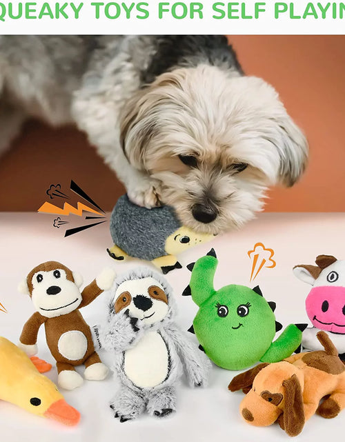 Load image into Gallery viewer, Dog Squeaky Toys for Small Dogs, 12 Pack Puppy Toys for Teething Cute Small Dog Toys Stuffed Plush Dog Toy Bundle Natural Cotton Puppy Rope Toy Dog Chew Toys for Puppies Pet Toys for Dogs
