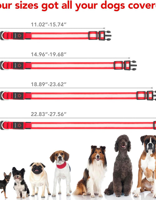 Load image into Gallery viewer, LED Dog Collar, Light up Dog Collar Adjustable USB Rechargeable Super Bright Safety Light Glowing Collars for Dogs
