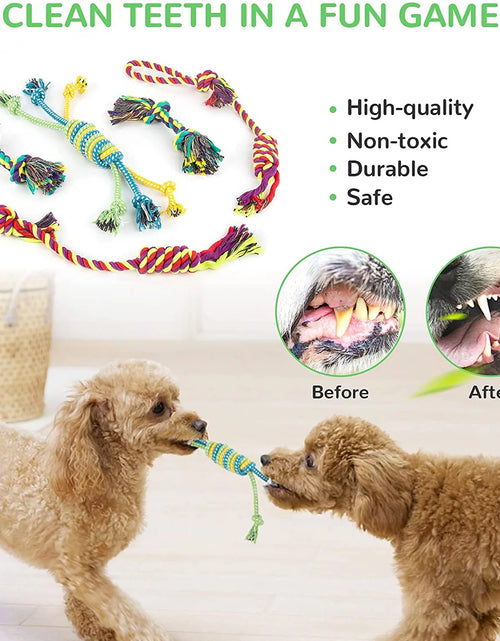 Load image into Gallery viewer, Dog Squeaky Toys for Small Dogs, 12 Pack Puppy Toys for Teething Cute Small Dog Toys Stuffed Plush Dog Toy Bundle Natural Cotton Puppy Rope Toy Dog Chew Toys for Puppies Pet Toys for Dogs
